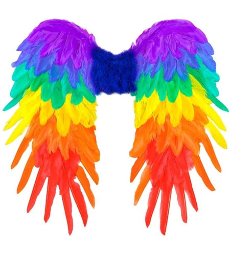Widmann SRL Veren vleugels regenboog opvouwbaar 50 x 50cm Roos