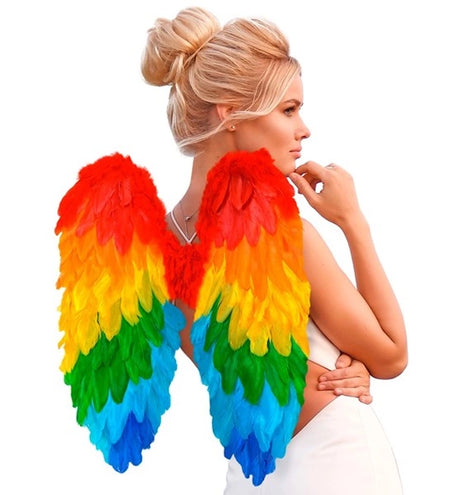 Widmann SRL Veren vleugels regenboog opvouwbaar 50 x 50cm Thijs