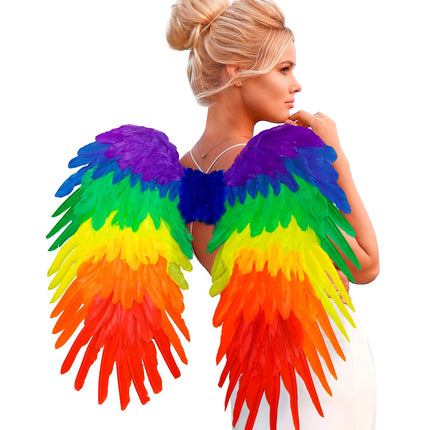 Widmann SRL Veren vleugels regenboog opvouwbaar 80x60 cm