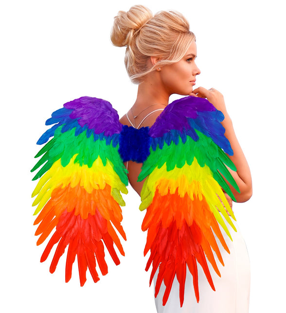 Widmann SRL Veren vleugels regenboog opvouwbaar 80x60 cm