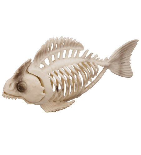 Widmann SRL Vissen skelet