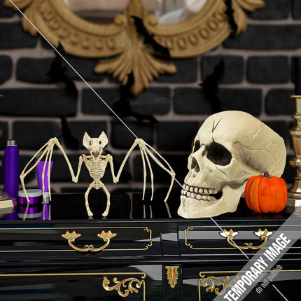 Widmann SRL Vleermuis skelet