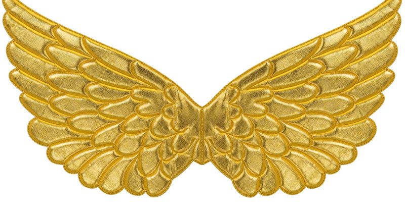 Widmann SRL Vleugels goud 57x26 cm