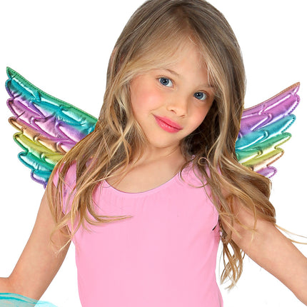 Widmann SRL Vleugels regenboog 43x22 cm