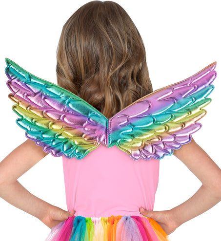 Widmann SRL Vleugels regenboog 43x22 cm