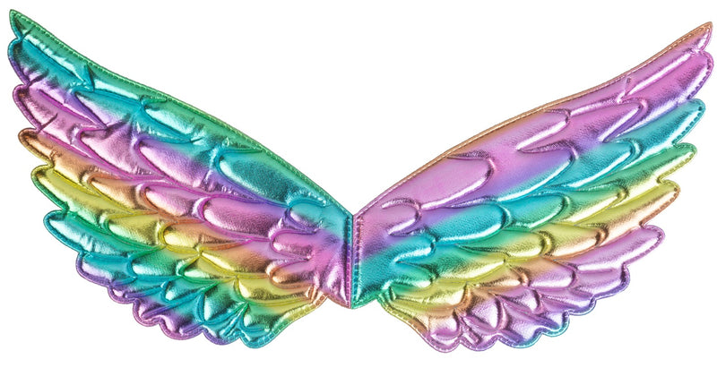 Widmann SRL Vleugels regenboog 43x22 cm