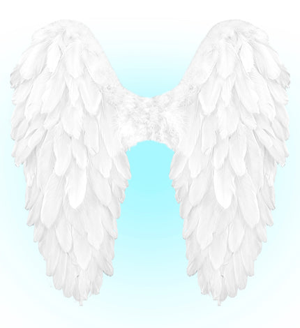 Widmann SRL Vleugels wit