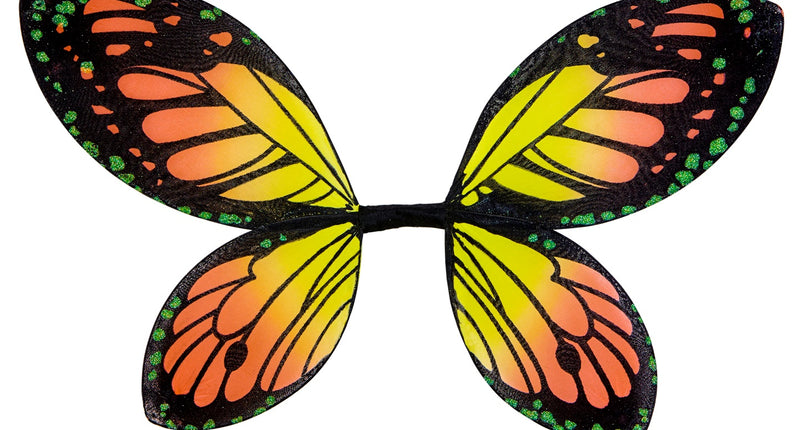 Widmann SRL Vlindervleugels voor kinderen