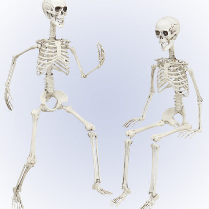 Widmann SRL Vorm baar skelet Halloween