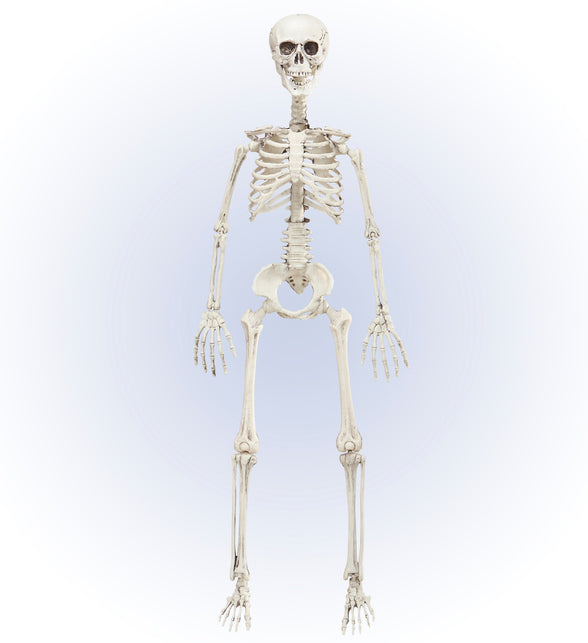 Widmann SRL Vorm baar skelet Halloween