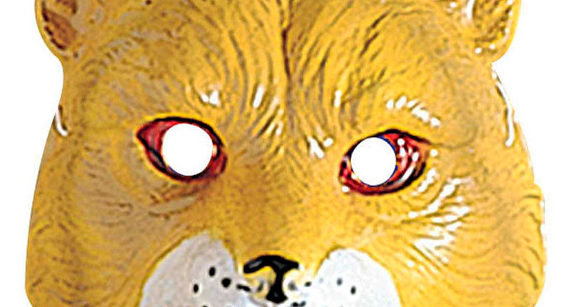 Widmann SRL Vossen masker kind plastic