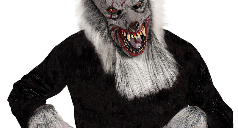 Widmann SRL Weerwolf masker met veel haar