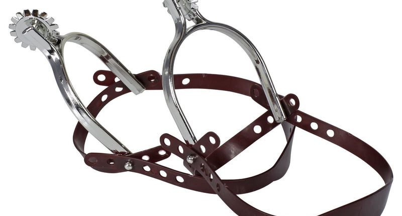 Widmann SRL Zilveren sporen cowboy luxe