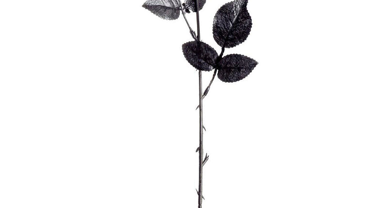 Widmann SRL Zwarte roos plastic nep