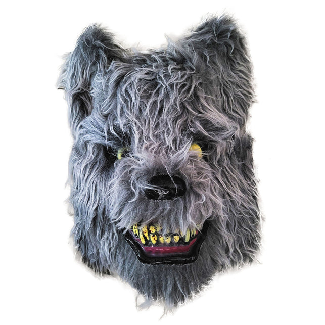 Wolvenmasker halloween in grijs met gele ogen, zwarte snuit en open muil met tanden