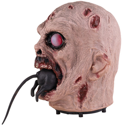 Zombiehoofd animatronic van de zijkant, zwarte rat met lange staart uit de mond