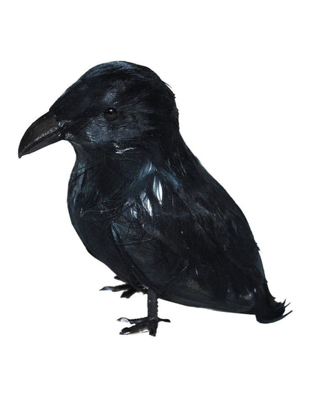 Zwarte kraai voor Halloween, decoratievogel van 9 cm met veren en zwarte snavel