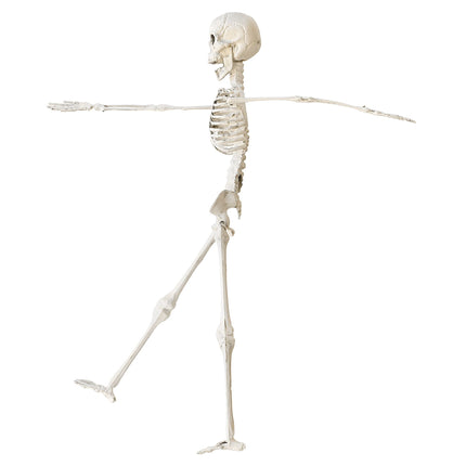 Nep skelet 40 cm buigbaar