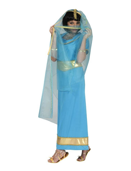 Indiase verkleed jurk Anandi
