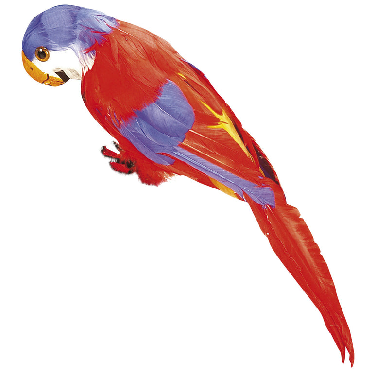 Decoratieve papegaai piraat