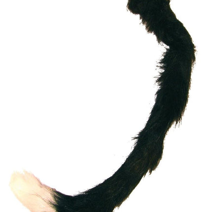 Nep zwarte kattenstaart met wit puntje