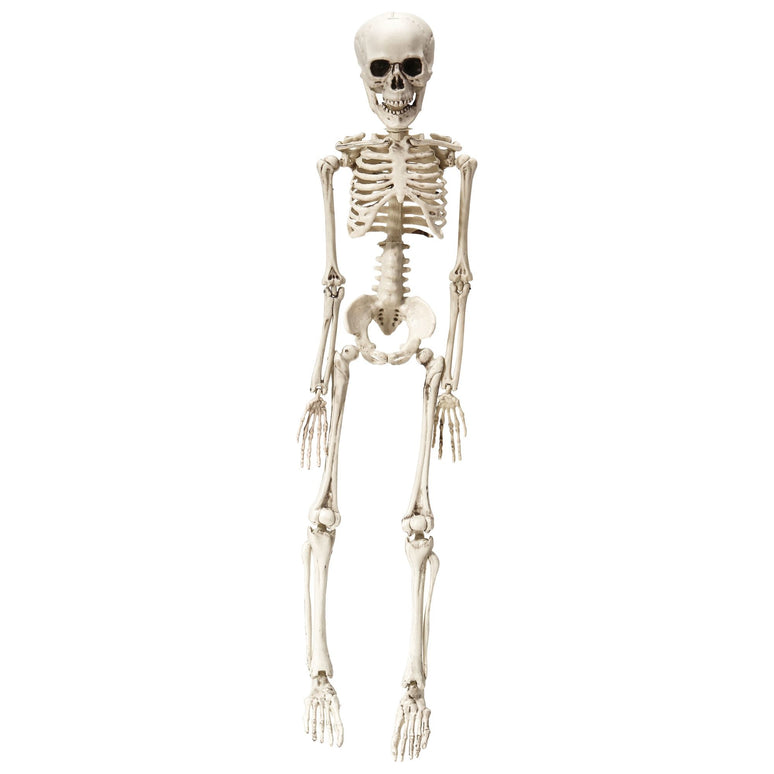Nep skelet 50cm