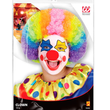 Pruik Clown Multikleuren