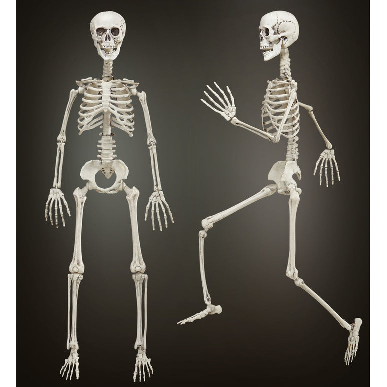 Vorm baar skelet Halloween