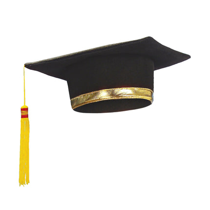 Geslaagd hoed gediplomeerd student