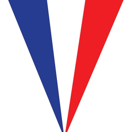 Vlaggenlijn 5m Frankrijk