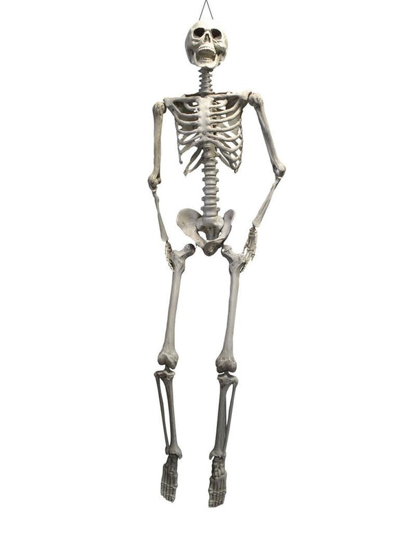 Skelet van 2 meter