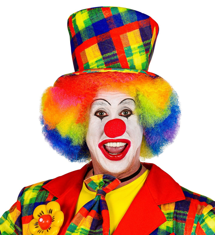 Hoge hoed clown multi