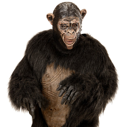 Masker aap Chimpansee kind