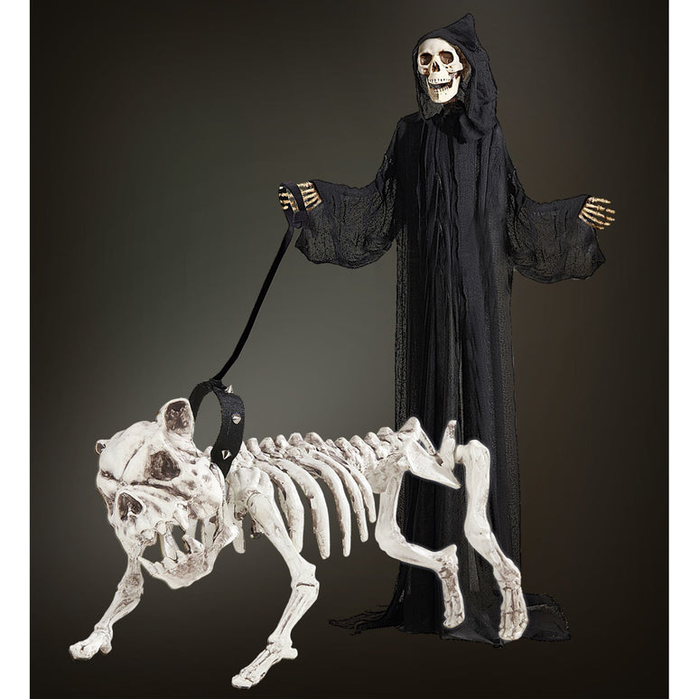 Skelet van een hond
