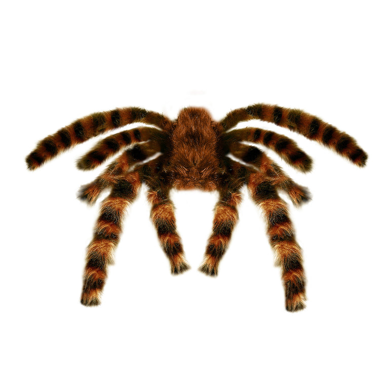 Nep Tarantula spin met haren 65cm