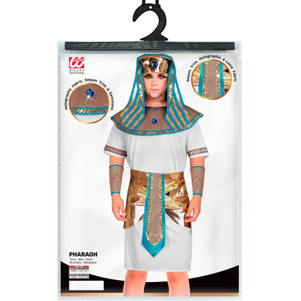 Farao kostuum Thoth kind