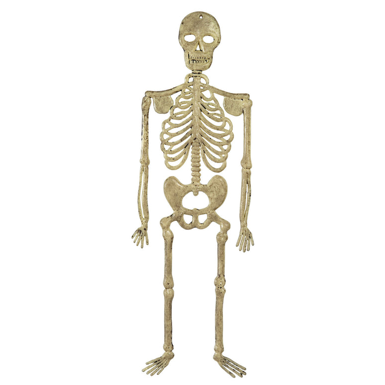 Skelet Benny decoratief
