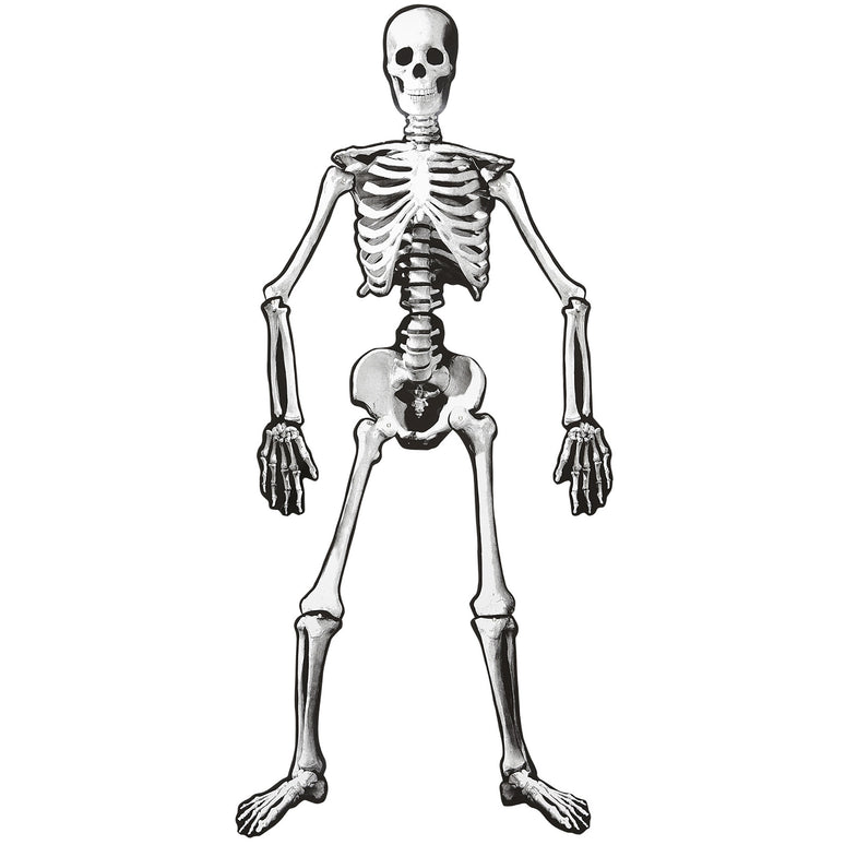 Skelet van 134cm decoratie