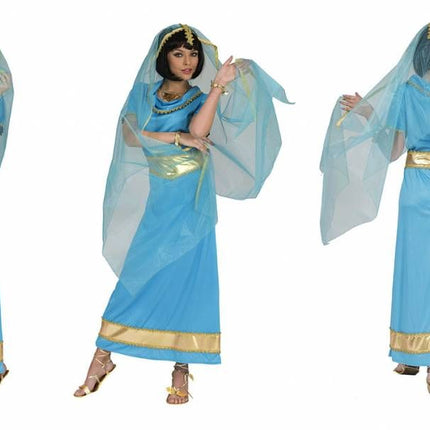 Indiase verkleed jurk Anandi