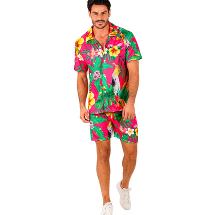 Zomer party set Parrot