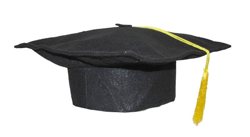 Funny Fashion Afgestudeerd hoed met kwast volwassenen