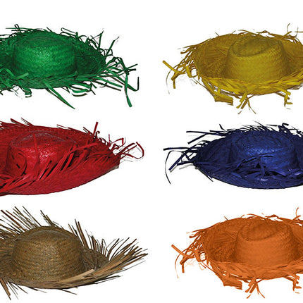 Funny Fashion Blauwe strohoed Aloha