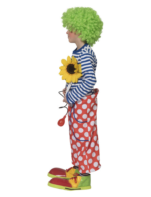 Funny Fashion Clownsbroek Bassie met dotten