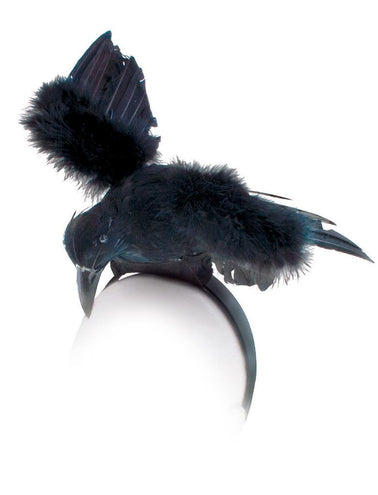 Funny Fashion Diadeem met grote  kraai