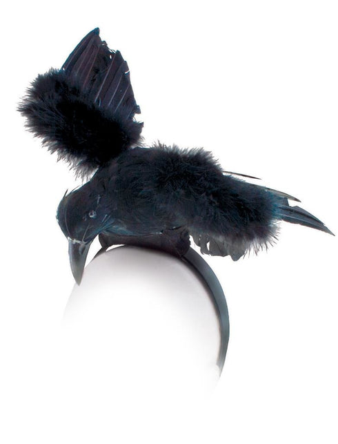 Funny Fashion Diadeem met grote  kraai