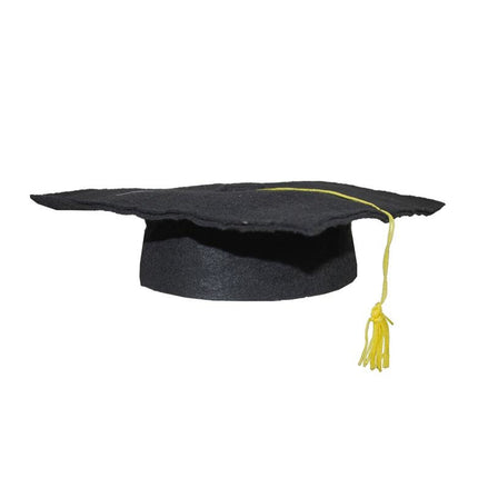 Funny Fashion Geslaagde hoed met kwast kind