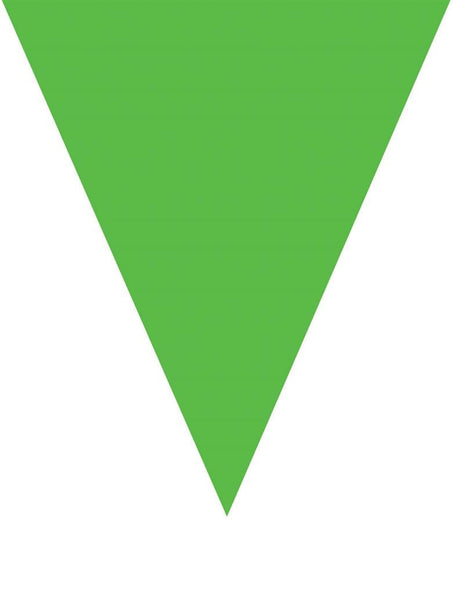 Funny Fashion Groene vlaggenlijn slinger 5mtr.