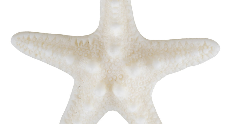 Funny Fashion Haarspeld zeemeermin