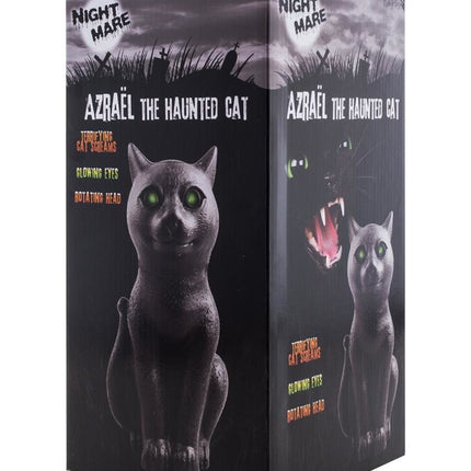 Funny Fashion Halloween deco horror kat