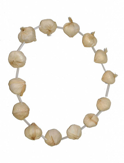 Funny Fashion Halsketting met knoflook